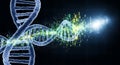 DNA Helix with Digital Data Stream and Binary Code Royalty Free Stock Photo