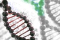 DNA helix DNA background genome sequencing Royalty Free Stock Photo