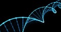 DNA helix, gene molecule and genetic chromosome cell, 3D spiral loop. Human DNA molecule blue light on black background Royalty Free Stock Photo