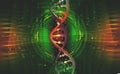 DNA helix. Hi Tech technology in the field of genetic engineering. Work on artificial intelligence Royalty Free Stock Photo