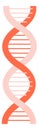 Dna helix. Human gene symbol. Biotech research icon