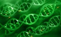 DNA helix. Human genome research. Genetic modification