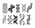 DNA Helix Icon vector illustration for graphic and web design Royalty Free Stock Photo