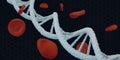 DNA helix Life structure And red blood cells 3d illustration