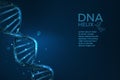 DNA helix. Medicine and biology research. Science background. Biotechnology and genomics wireframe. Chromosome molecules