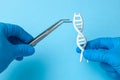 DNA helix research. Concept of genetic experiments on human biological code DNA. Scientist holding DNA helix and tweezers.