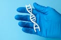 DNA helix research. Concept of genetic experiments on human biological code DNA. Scientist holds DNA helix.