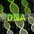 Dna Helix Showing Biotechnology Research 3d Illustration