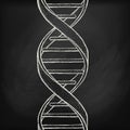 Dna helix symbol on chalk board background. Handdraw vector illustration. Royalty Free Stock Photo