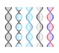 DNA icon chromosome genetics vector set DNA gene molecule set of vector. Royalty Free Stock Photo