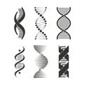 DNA icon. Chromosome strand symbol set design