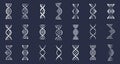 DNA icons. Genetic spiral structure, genome helix. Biotechnology molecular concept, human chromosome vector elements