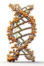 DNA illustration in white background