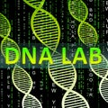 Dna Lab Shows Biotechnology Labratories 3d Illustration