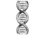 DNA link. Science Technological concept. Royalty Free Stock Photo