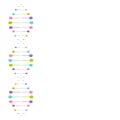 Vector illustration of DNA double helix