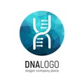 DNA logo in circle with blue polygonal texture. Isolated Deoxyribonucleic acid logotype on white background. 25 april world