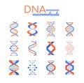 DNA macromolecule - line design style vector elements Royalty Free Stock Photo