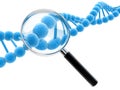 Dna model Royalty Free Stock Photo