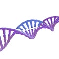 DNA modification crispr