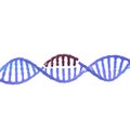 DNA modification crispr