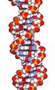 DNA molecular structure. Main carrier of genetic information in all organisms. The DNA shown here is part of a human gene and is Royalty Free Stock Photo