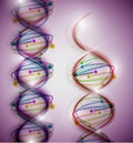 DNA molecule