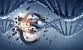 DNA molecule and euro sign Royalty Free Stock Photo