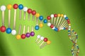 DNA molecule on green background, vector illustration