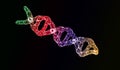 DNA molecule from particles and triangulators isolate on black background. Transfused bright different colors