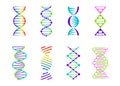 DNA molecule sign set, genetic elements and icons collection strand. Vector color gradient illustration.