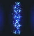 DNA, Molecule Structure with Glowing Effect, Genetic Code Royalty Free Stock Photo