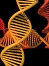 DNA genetic molecule spiral structure