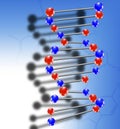 DNA molecule