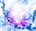 DNA molecules background Royalty Free Stock Photo