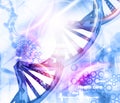 DNA molecules background Royalty Free Stock Photo