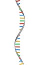 DNA molecules, structure of the genetic code, 3d rendering,conceptual image.