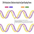 DNA mutations: deletions inside the open reading frame