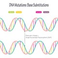 DNA mutations: Base Substitutions