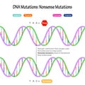 DNA mutations nonsense mutations diagram illustration Royalty Free Stock Photo