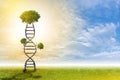 DNA is a natural tree background  style Royalty Free Stock Photo
