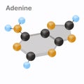 DNA Nucleotides-4, Adenine, A. Pyrimidine nucleobase molecule 3D vector illustration