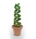 DNA pot plant Royalty Free Stock Photo