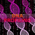Dna Profiling Means Genetic Fingerprinting 3d Illustration