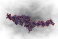 DNA-protein complex. Space-filling molecular model of interferon regulating factor 3 bound to the interferon-beta