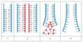 Mechanism of DNA replication. Semiconservative replication then starts with one DNA molecule, and produces two daughter molecules.