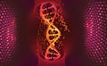 DNA. Research molecule. analysis of structure genome