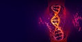 DNA. Research molecule. Scientific breakthrough in human genetics Royalty Free Stock Photo