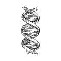 dna science sketch hand drawn vector