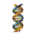 dna science sketch hand drawn vector